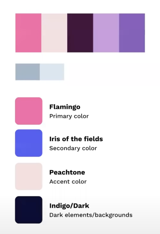 Diagram showing a color choice layout - primary color, secondary, accent, and dark element colors.